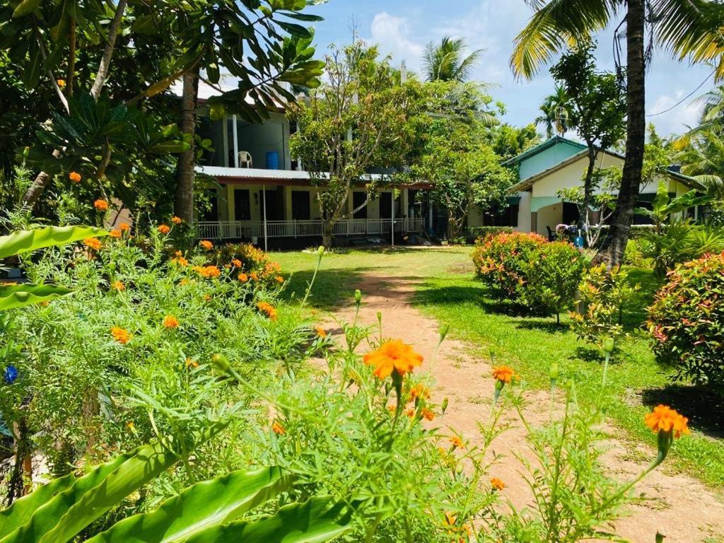 Hotel Coconut Grove - Midigama-Est Extérieur photo