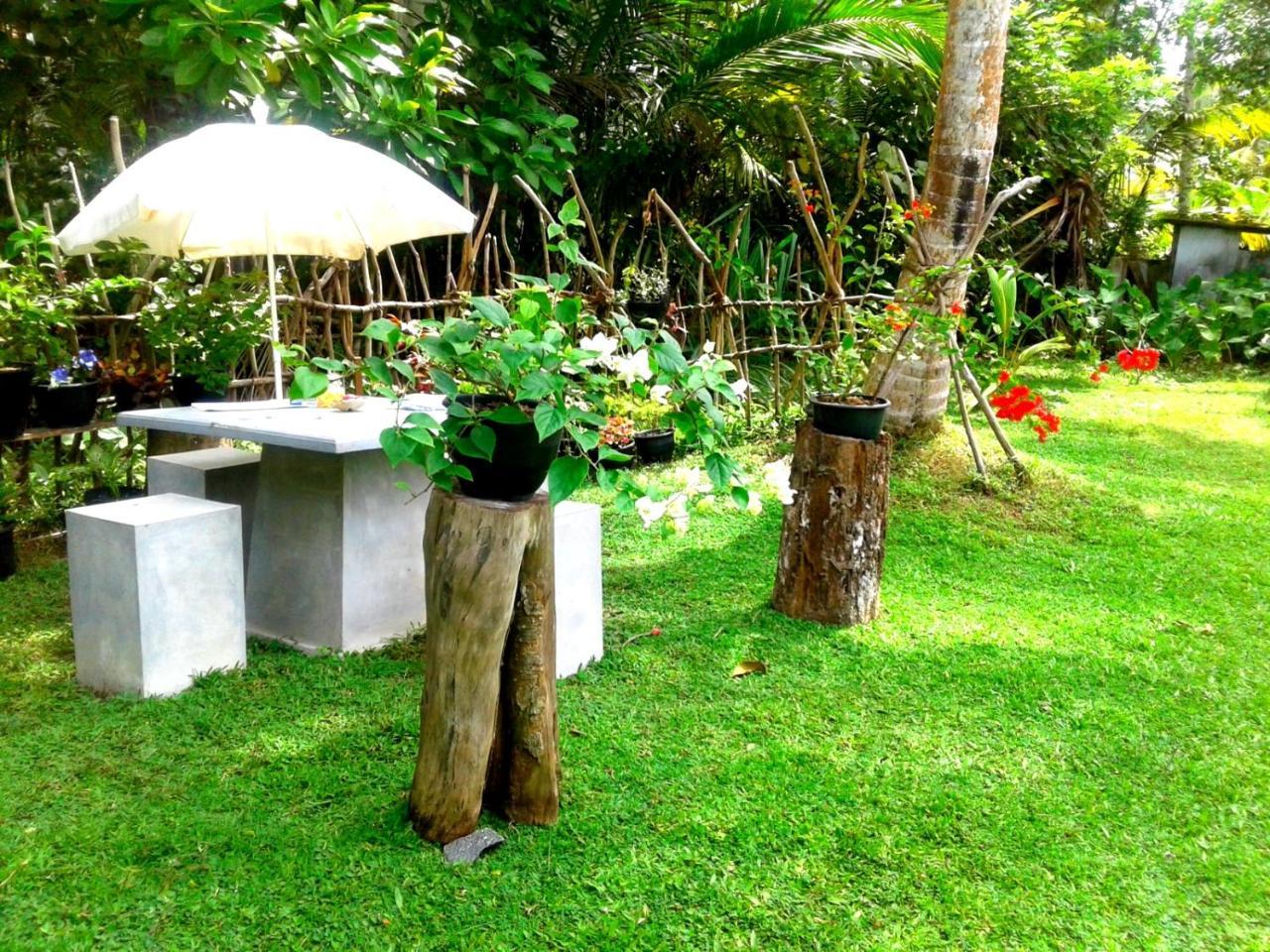 Hotel Coconut Grove - Midigama-Est Extérieur photo