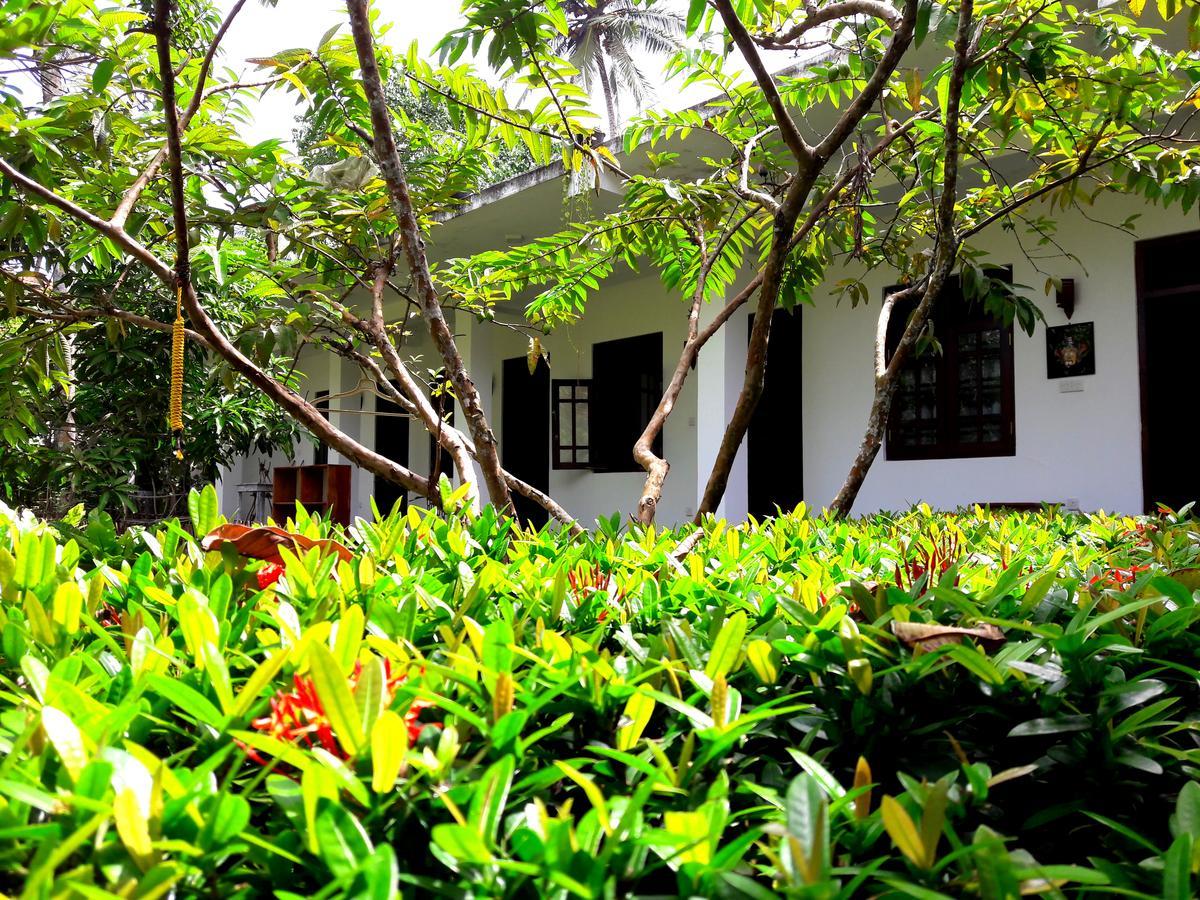 Hotel Coconut Grove - Midigama-Est Extérieur photo