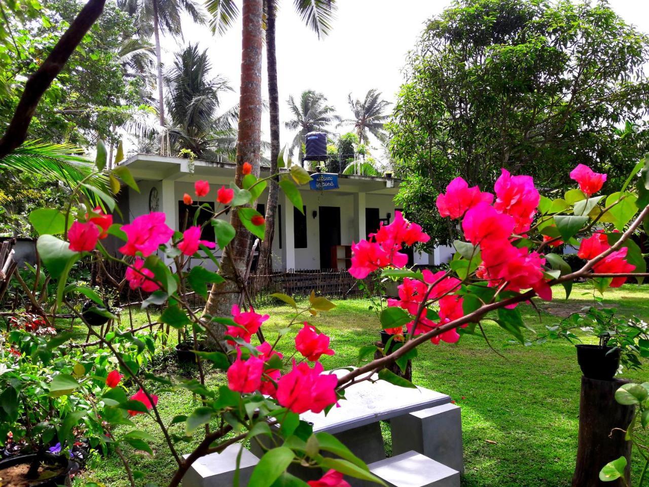 Hotel Coconut Grove - Midigama-Est Extérieur photo