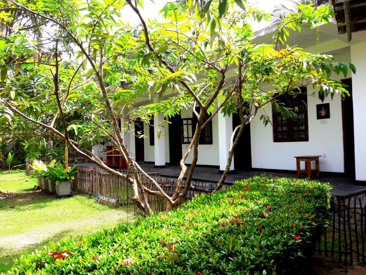 Hotel Coconut Grove - Midigama-Est Extérieur photo