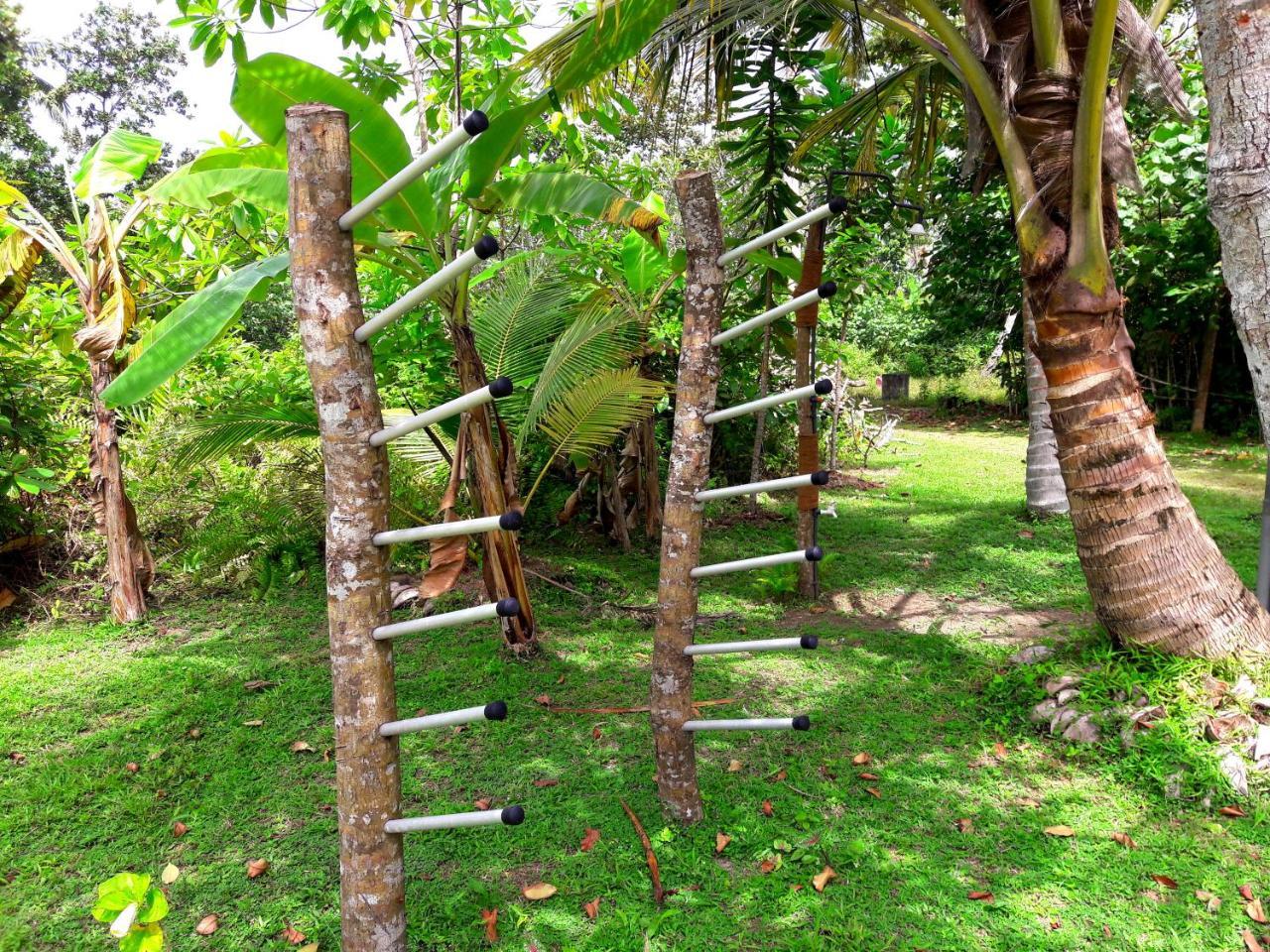 Hotel Coconut Grove - Midigama-Est Extérieur photo